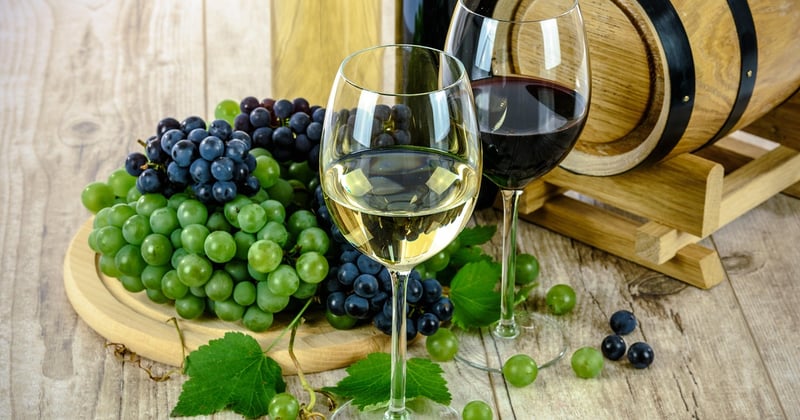 L'art de la dégustation des vins et fromages en France