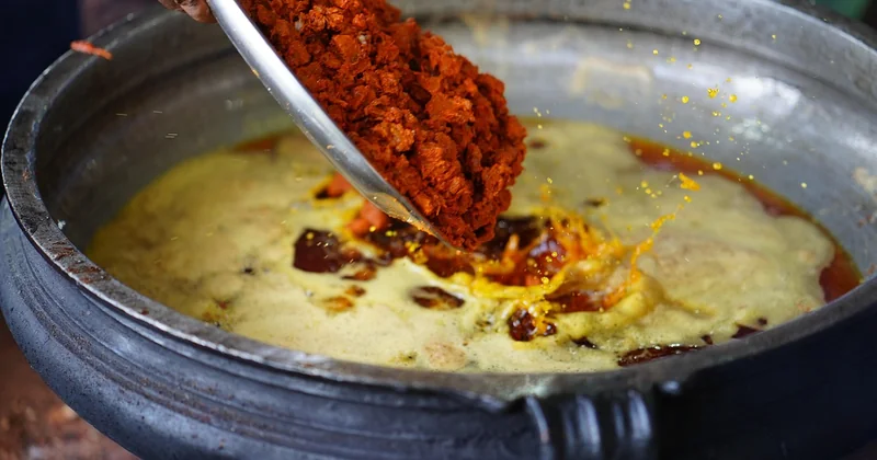 Chaat, vada pav, dosa : le tour de l'Inde par les papilles